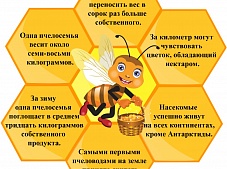 ��������� ���� �����